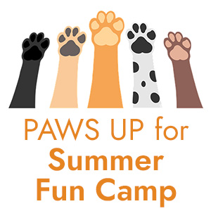 Paws up for Summer Fun Camp